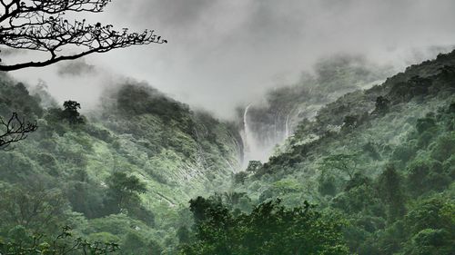 When To Chase Rapids & Greenery: The Best Time To Visit Kolad